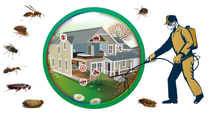 We're the Pest Control Professionals