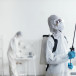 DIY Pest Control: What Works and What Doesn't