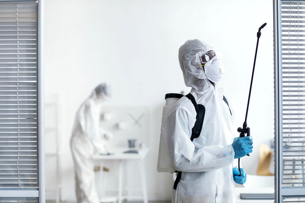 DIY Pest Control: What Works and What Doesn't