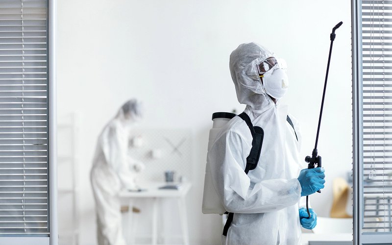 DIY Pest Control: What Works and What Doesn't