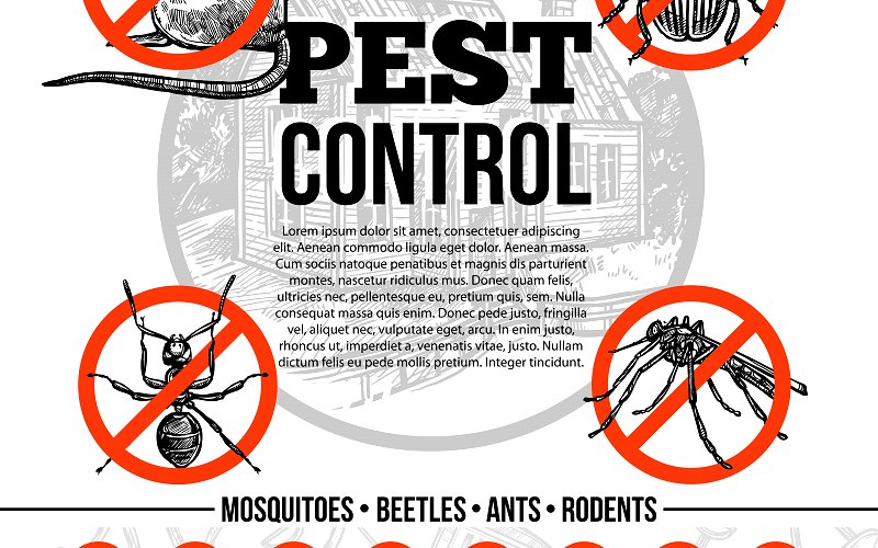 Professional vs. DIY Pest Control: Pros and Cons