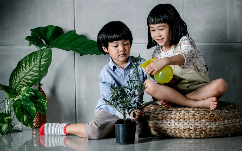 Child and Pet Safe Pest Control: Keeping Your Home Safe