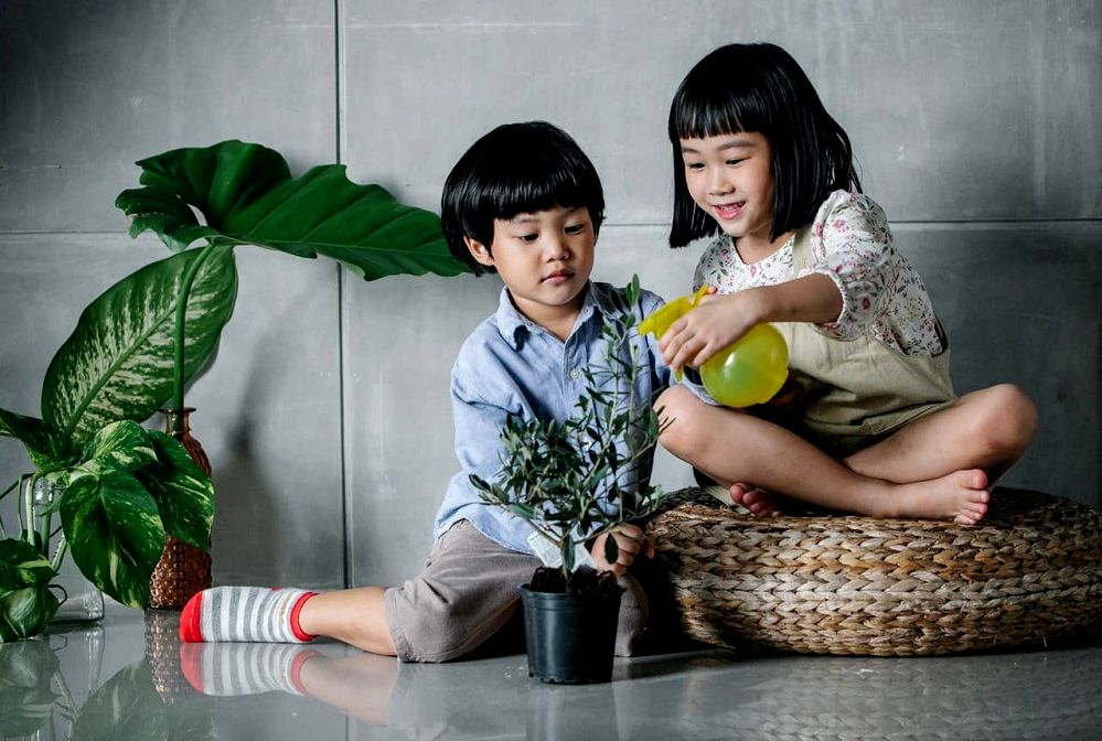 Child and Pet Safe Pest Control: Keeping Your Home Safe
