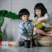 Child and Pet Safe Pest Control: Keeping Your Home Safe
