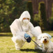 Pet-Safe Pest Control: Keeping Your Furry Friends Safe