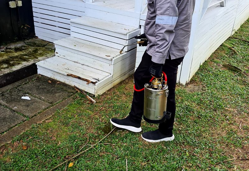 Residential Landed (Termite Spot Treatment)