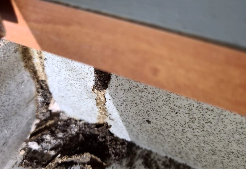 Residential Landed (Termite Baiting)