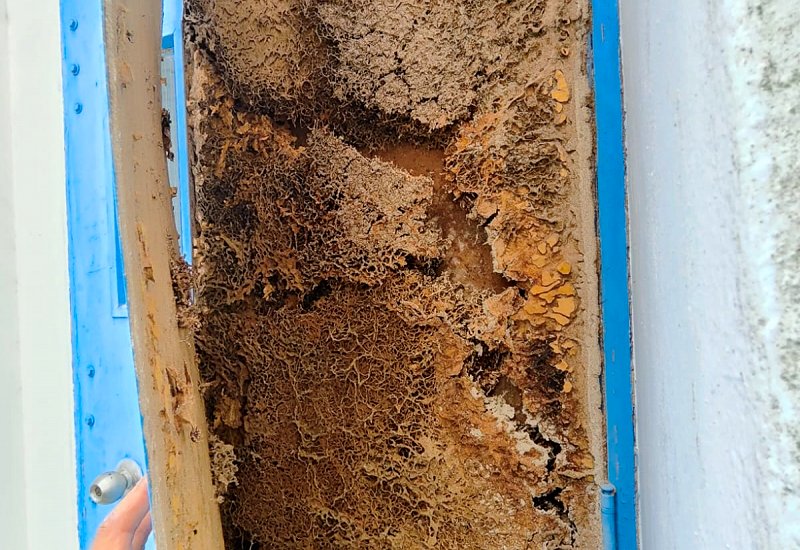 Warehouse (Termite Spot Treatment)