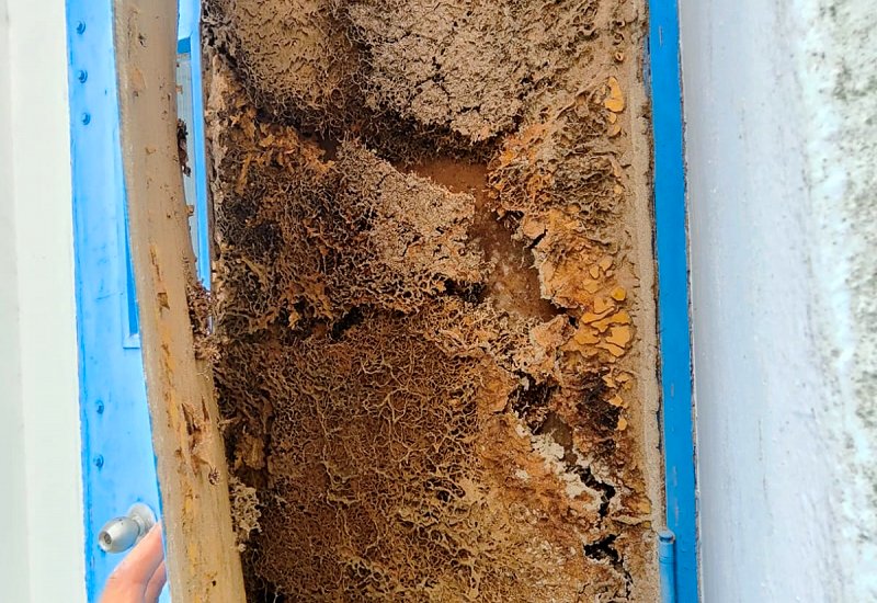 Warehouse (Termite Spot Treatment)