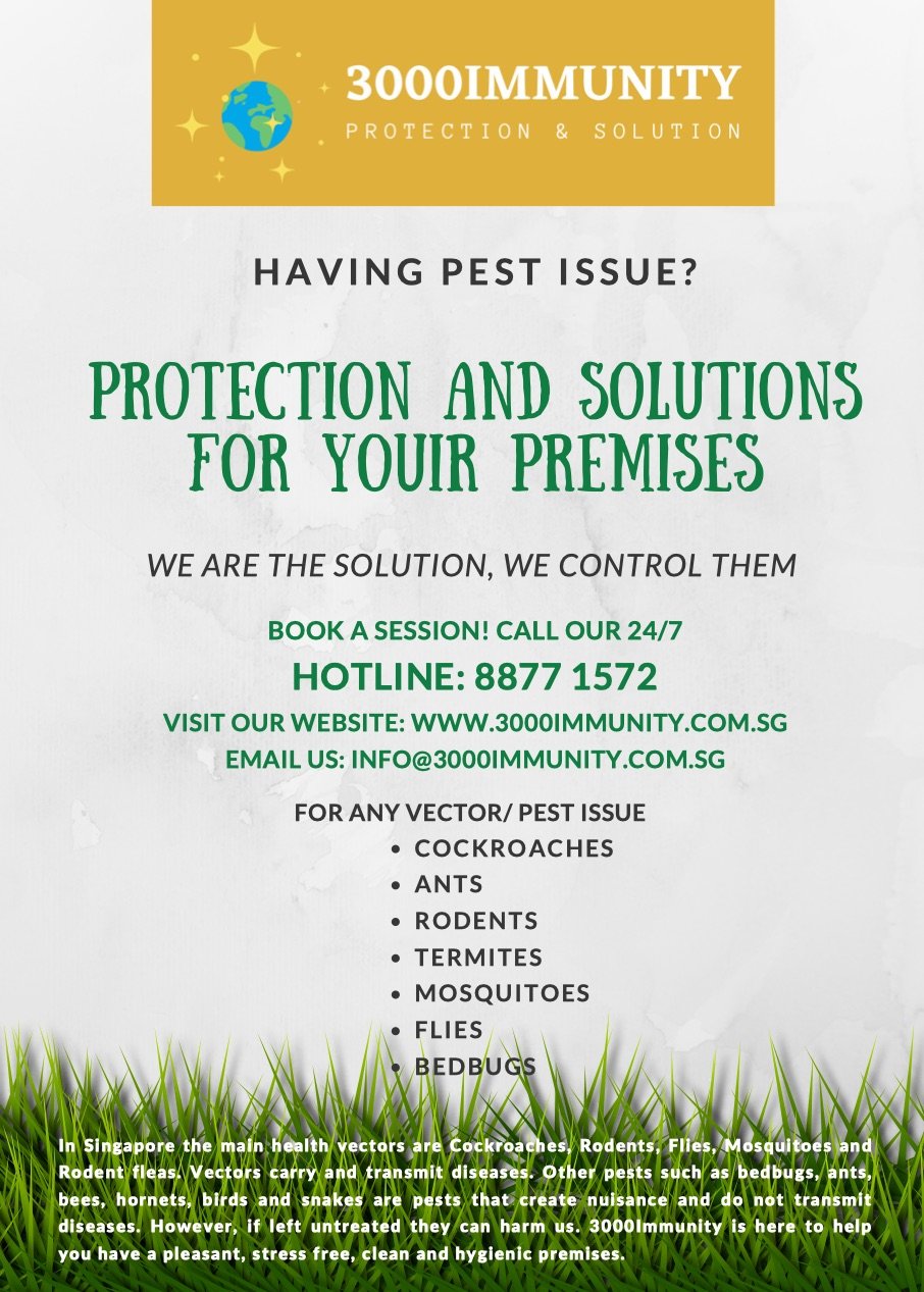 20% Promotion - Protection & Solution for your Premises